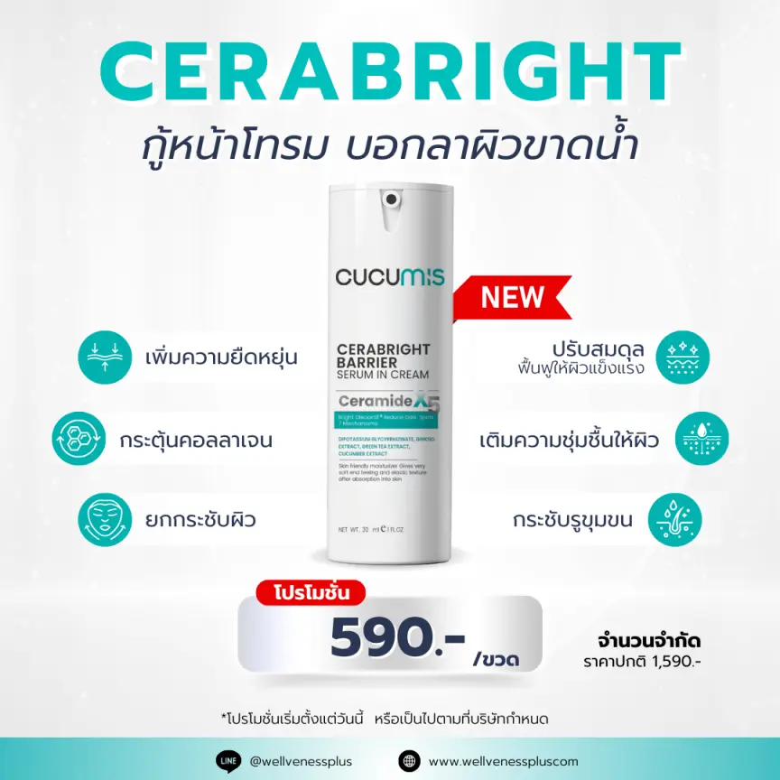 cucumis cerabright เซรั่มอินครีม เซราไบร์ท ผิวแข็งแรง เติมความชุ่มชื้นให้ผิวหน้า กระชับรูขุมขน แก้ปัญหาผิวติดสาร ผิวแพ้ง่าย ลดปัญหารูขุมขนกว้าง รับสมัครตัวแทนจำหน่าย