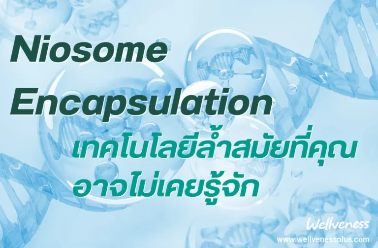 Niosome Encapsulation เทคโนโลยีล้ำสมัยที่คุณอาจไม่เคยรู้จัก