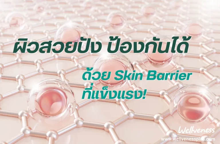 ผิวสวยปัง ป้องกันได้ด้วย Skin Barrier ที่แข็งแรง