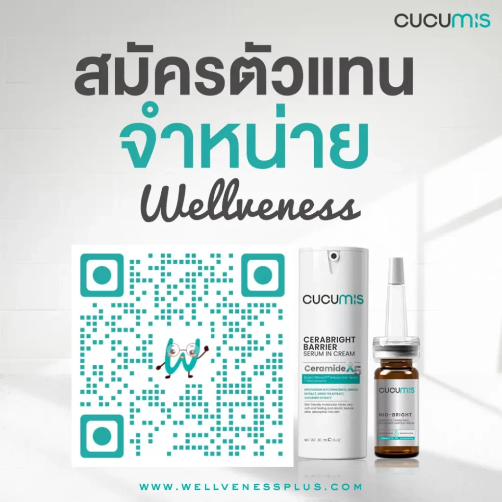 สมัครตัวแทน wellveness เวลวีเนส 2024