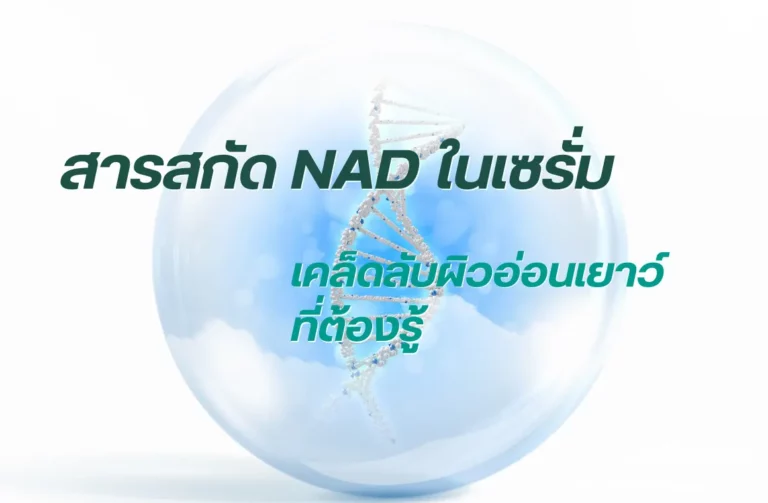 สารสกัด NAD ในเซรั่ม เคล็ดลับผิวอ่อนเยาว์ที่ต้องรู้