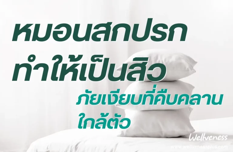 หมอนสกปรกทำให้เป็นสิว ภัยเงียบที่คืบคลานใกล้ตัว