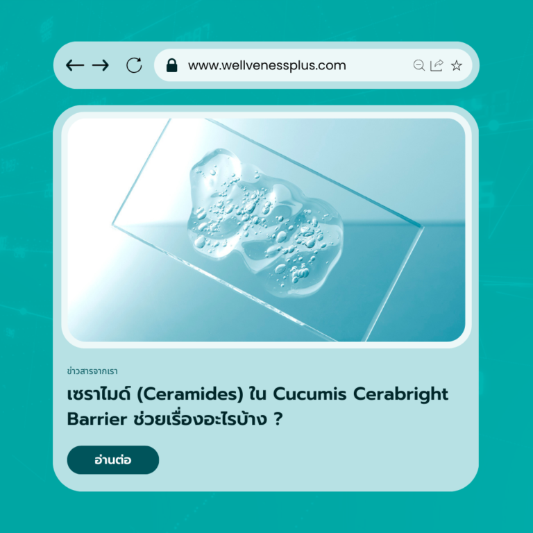 เซราไมด์ Ceramidesใน Cucumis Cerabright Barrier ช่วยเรื่องอะไรบ้าง