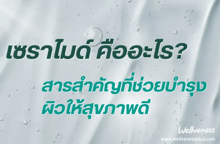 เซราไมด์ คืออะไร สารสำคัญที่ช่วยบำรุงผิวให้สุขภาพดี